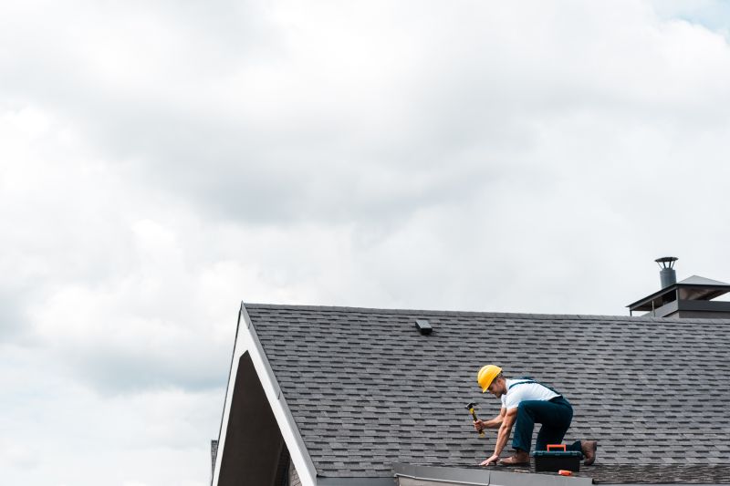 Roof Repair Consultation